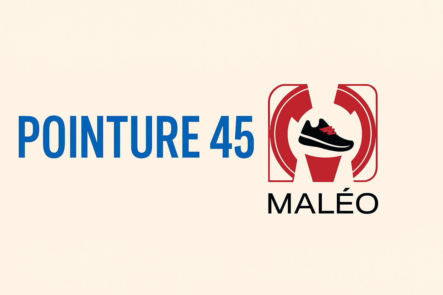 Chaussures-et-baskets-de-marque-homme-Pointure-45-pas-cher Maléo